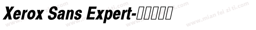 Xerox Sans Expert字体转换